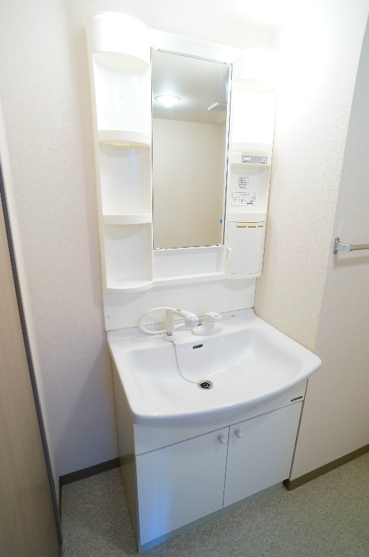 その他：シャンプードレッサー