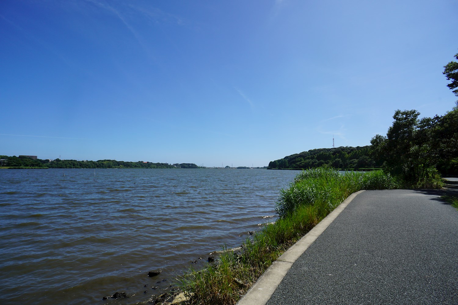 ホワイトコーポⅢ 公園