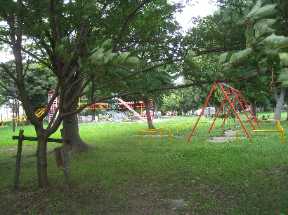 公園：大蒲公園　332m