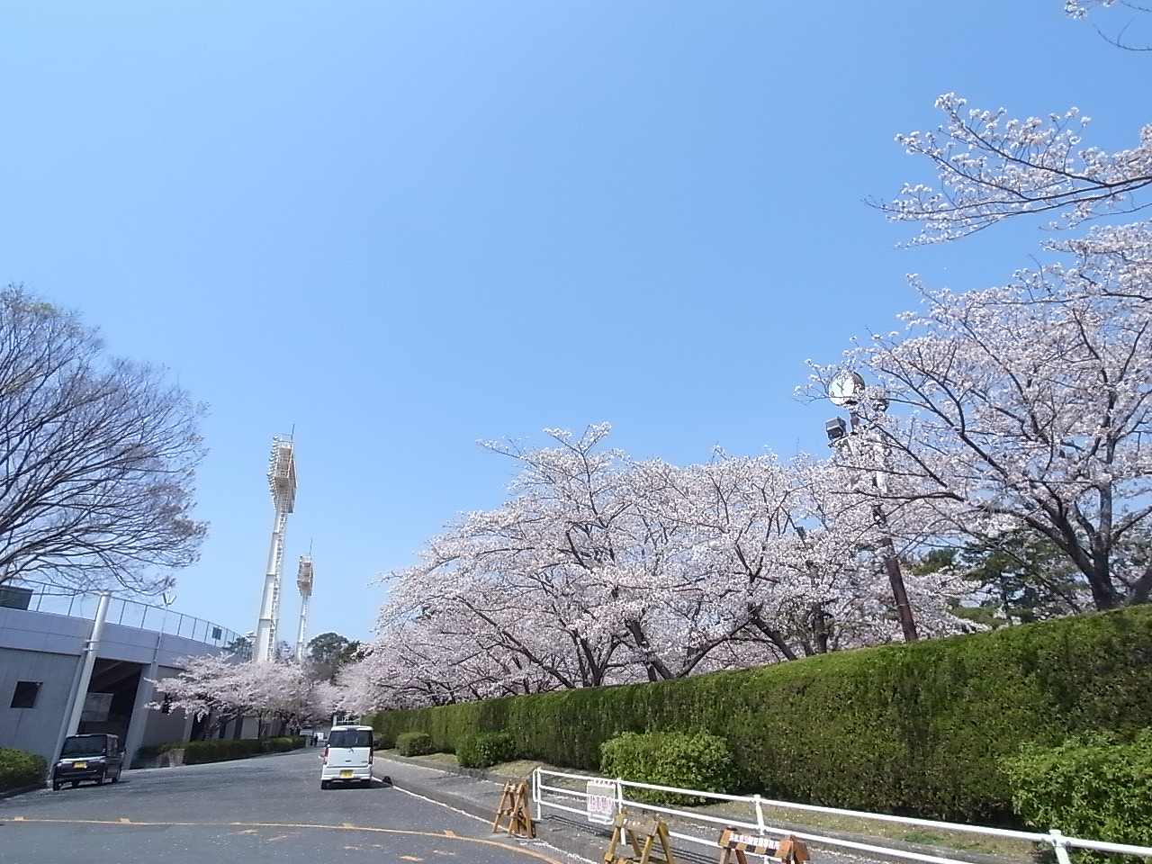 公園：四ツ池公園・市営球場　1217m